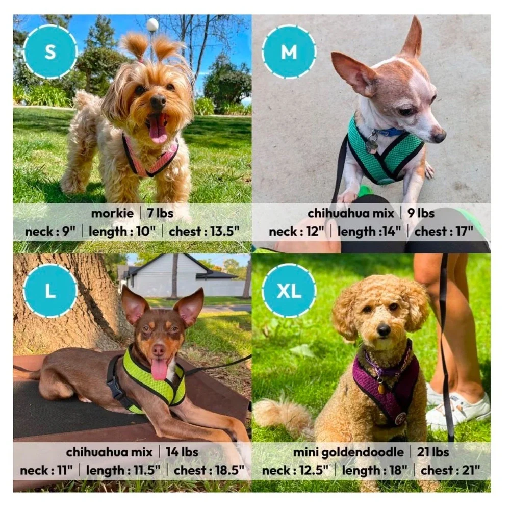 NWT Gooby Comfort X Dog Harness S
